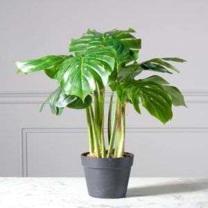 Τεχνητό Φυτό Μονστέρα Deliciosa "Tropic" Πράσινο 80 εκ.
