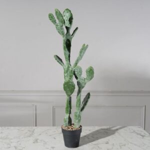 Τενητό Φυτό Φραγκοσυκιά "Opuntia" 91,5 εκ.