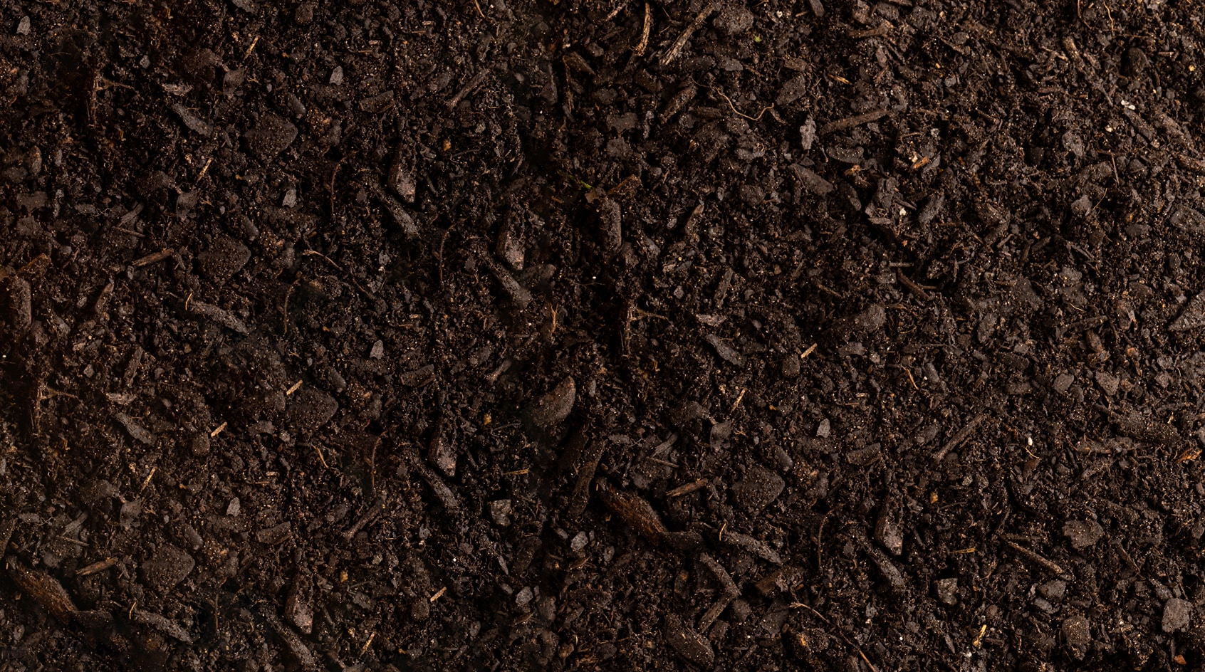 Plaguicidas y fertilizantes